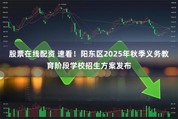 股票在线配资 速看！阳东区2025年秋季义务教育阶段学校招生方案发布